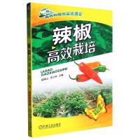 [N]辣椒高效栽培(双色印刷)/高效种植致富直通车-9787111495130