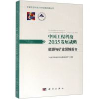 [N]中国工程科技2035发展战略(能源与矿业领域报告)/中国工程科技2035发展战略丛书-9787030612502