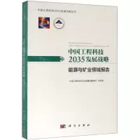 [N]中国工程科技2035发展战略(能源与矿业领域报告)/中国工程科技2035发展战略丛书-9787030612502