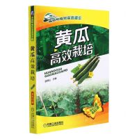 [N]黄瓜高效栽培(双色印刷)/高效种植致富直通车-9787111479475