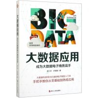 [N]大数据应用(成为大数据电子商务高手)-9787213096969