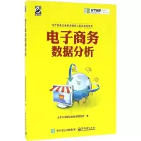 [M]电子商务数据分析-9787121296970