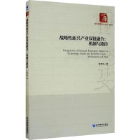 战略性新兴产业双链融合--机制与路径/经济管理学术文库