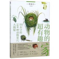 [N]动物的家超有趣(铃木守的109种动物巢穴大揭秘)-9787515353456