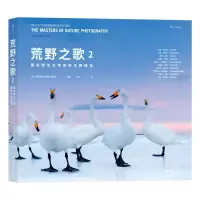 荒野之歌2: 国际野生生物摄影年赛精选