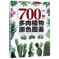 [N]700种多肉植物原色图鉴(第2版)(精)/健康爱家系列-9787571302542