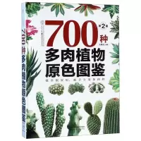 [N]700种多肉植物原色图鉴(第2版)(精)/健康爱家系列-9787571302542