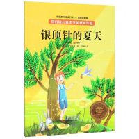 [N]银顶针的夏天(插图典藏版)/学生课外阅读书系-9787571104160
