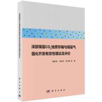 深部煤层二氧化碳地质存储与煤层气强化开发有效性理论及评价