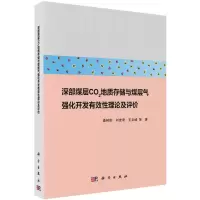 深部煤层二氧化碳地质存储与煤层气强化开发有效性理论及评价