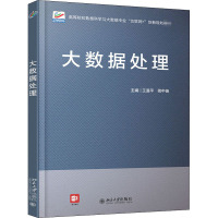 大数据处理/王道平,蒋中杨