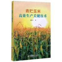青贮玉米高效生产关键技术