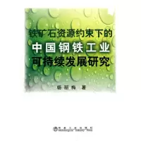 [M]铁矿石资源约束下的中国钢铁工业可持续发展研究\杨丽梅-9787502451691