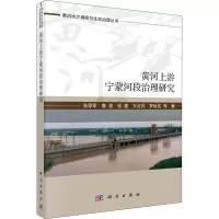 黄河上游宁蒙河段生态治理研究