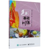[N]色彩基础训练(高职高专艺术类专业系列教材)-9787121377501