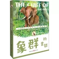 象群的首领