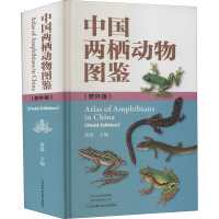 中国两栖动物图鉴(野外版)