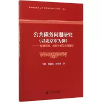 公共债务问题研究