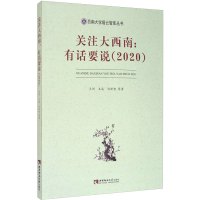 关注大西南:有话要说(2020)