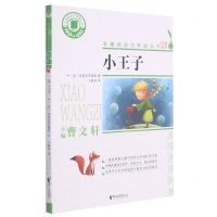 [N]小王子/名著阅读力养成丛书-9787533961077