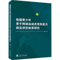 我国青少年男子网球运动员竞技能力综合评价体系研究