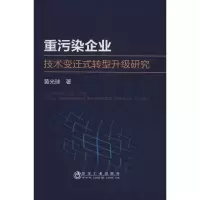 重污染企业技术变迁式转型升级研究
