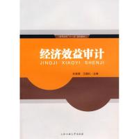 [M]经济效益审计-9787565001505