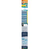 我的朋友阿波罗