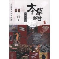 [M]本草纲目鱼鳞部妙用-9787801789082