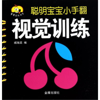 [M]视觉训练-9787508293561