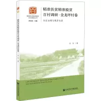 精准扶贫精准脱贫百村调研·金龙坪村卷 社区治理与脱贫攻坚