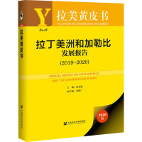 拉丁美洲和加勒比发展报告(2019-2020) 2020版