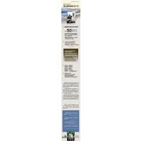 盛世的序曲:南北朝的最后五十年