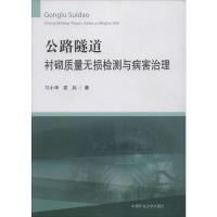 公路隧道衬砌质量无损检测与病害治理