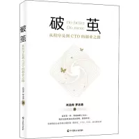 破茧:从程序员到CTO的创业之路