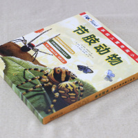 手绘儿童奇趣小百科:节肢动物(全5册)