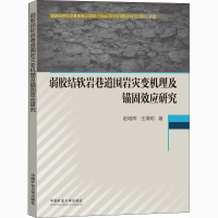 弱胶结软岩巷道围岩灾变机理及锚固效应研究