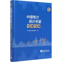 中国电力统计年鉴(2020)(精)