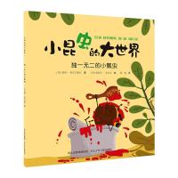 小昆虫的大世界:独一无二的小瓢虫