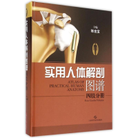 [M]实用人体解剖图谱·四肢分册-9787547825037