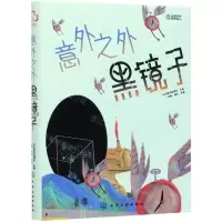 [N]意外之外(黑镜子)-9787122379443