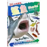 [N]鲨鱼/DK小科学馆-9787521725940