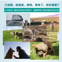 千里寻你重返狼群