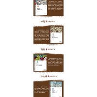 中国名家经典集(全8册)