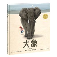 [N]大象(精)/海豚绘本花园-9787572104817