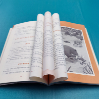 森林报(冬彩插励志版无障碍阅读)/中小学生阅读指导丛书