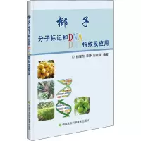 椰子分子标记和DNA指纹及应用