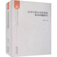 公司与非公司企业法基本问题研究