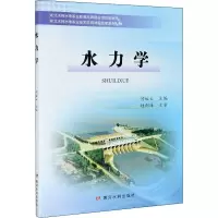 水力学(湖北水利水电职业技术学院课程改革系列教材)
