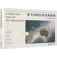 用飞鸟的目光看见家园
